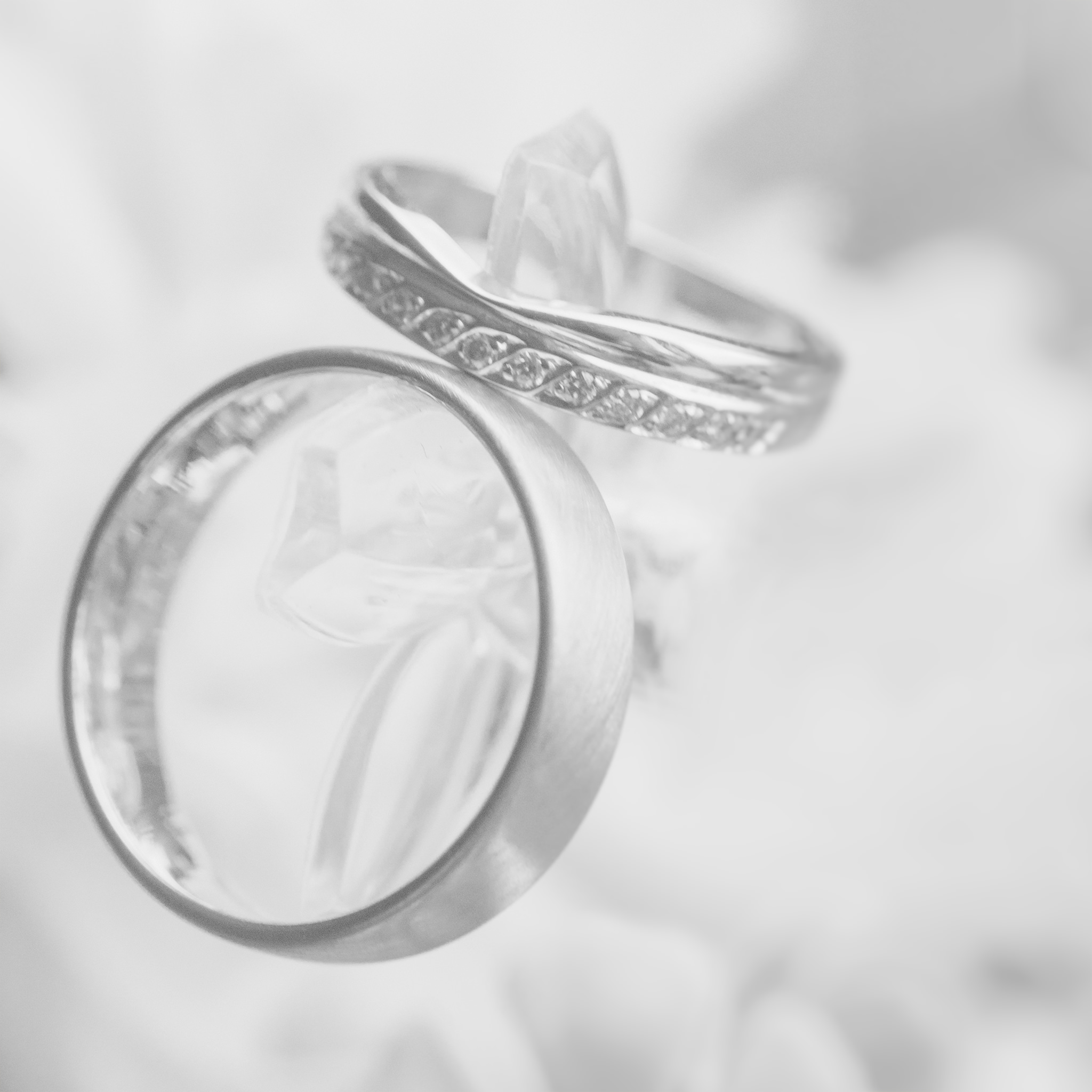 close up of the wedding rings in black and white