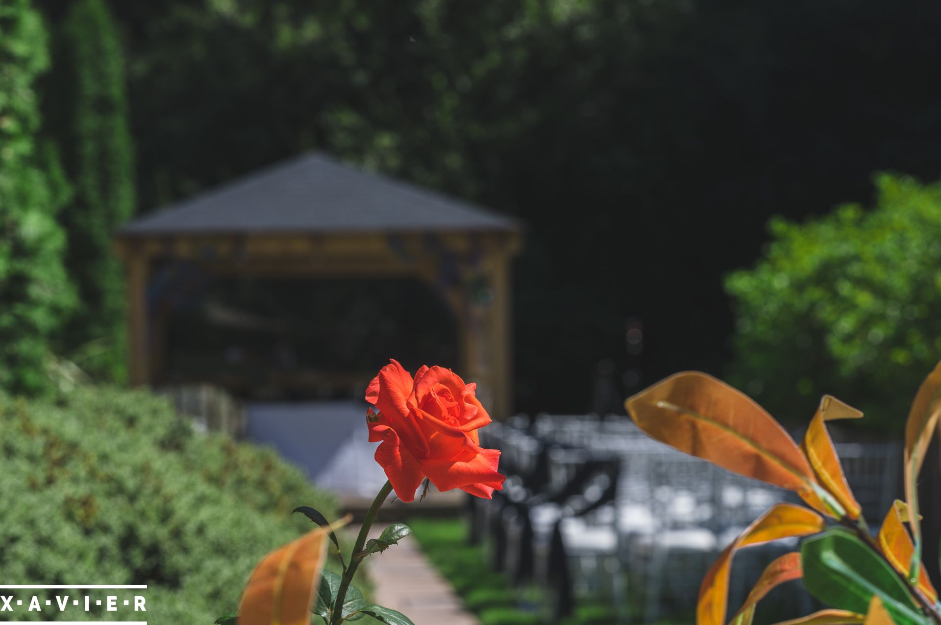 commemorative red rose by the outdoor ceremony chairs